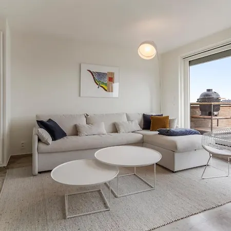 Seabald Ongelofelijke Penthouse Met Dakterras Coxyde